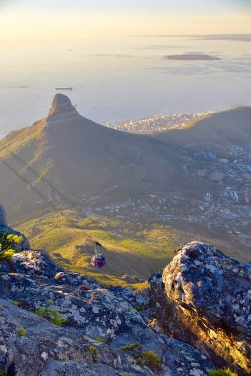 cosa vedere a Cape Town, cose migliori da fare Sud Africa, top 5